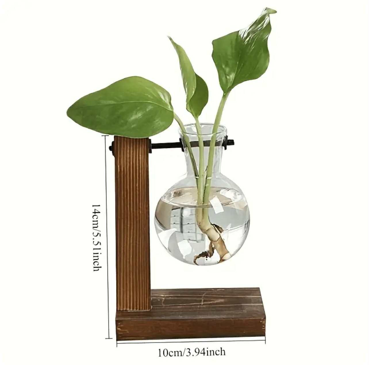 1pc Vase Hydroponique Transparent avec Cadre en Bois et Verre pour Plantes de Bureau, Décoration Maison Bonsaï